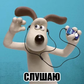 Стикер 24