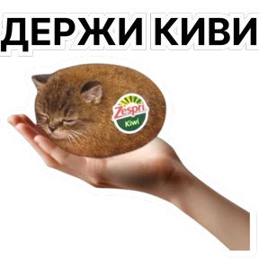 Стикер 8