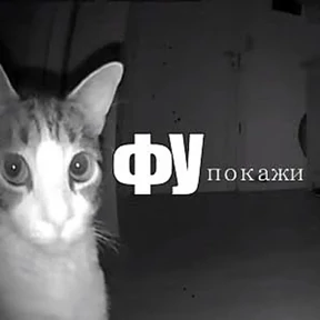 Стикер 11