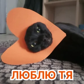 Стикер 12