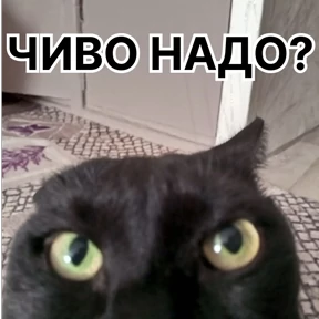 Стикер 13