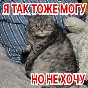 Стикер 17