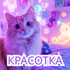 Стикер 19