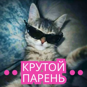 Стикер 20