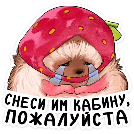 Стикер 24