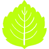 Первые кадры