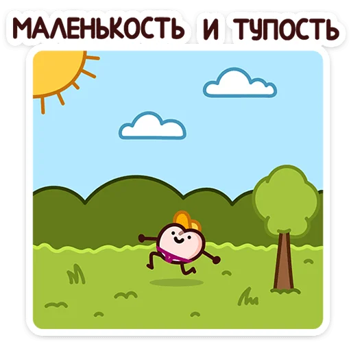 Летний Попкинс 4