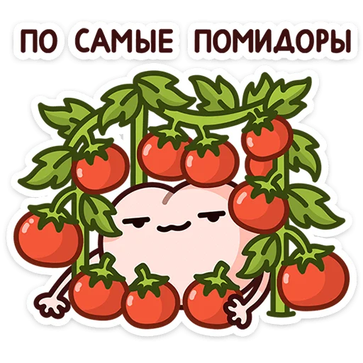 Стикер 13