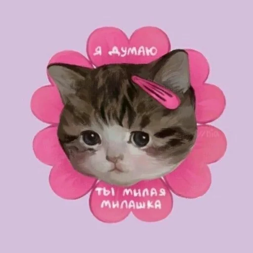 ♡(˃͈ દ ˂͈ ༶ ) by♡ 6