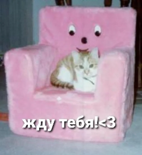 Стикер 20