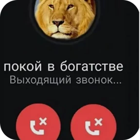 Тикток мемы