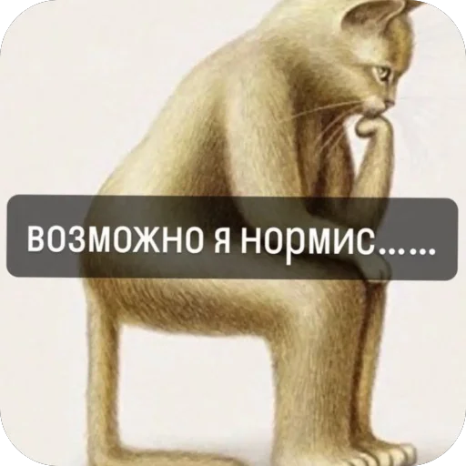 Тик ток 3