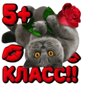 Стикер 18