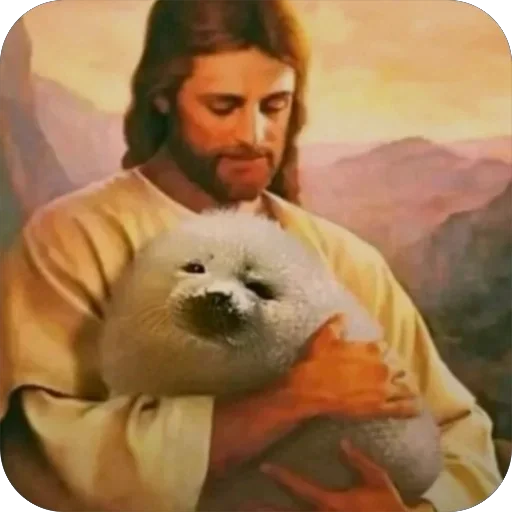 Тюлени топ