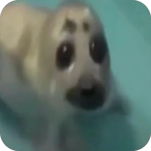 Стикер 11