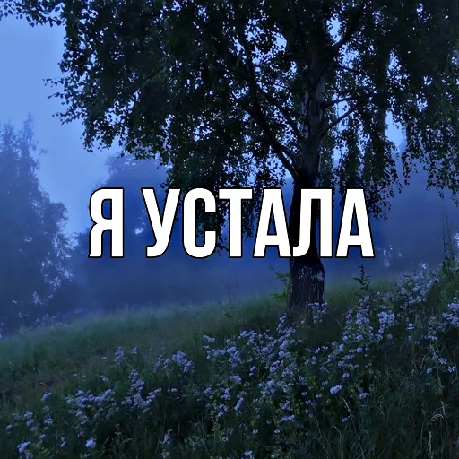 Стикер 7