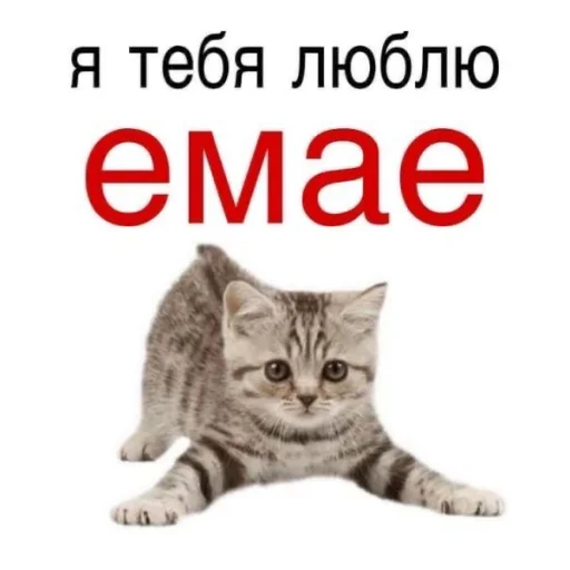 Стикер 8