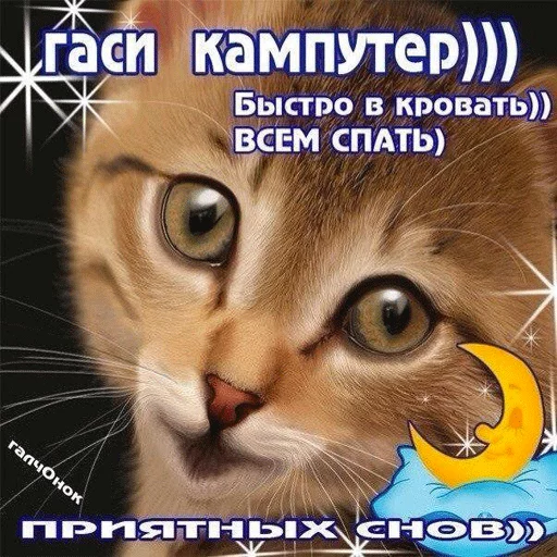 ВсратыеОдноклассники
