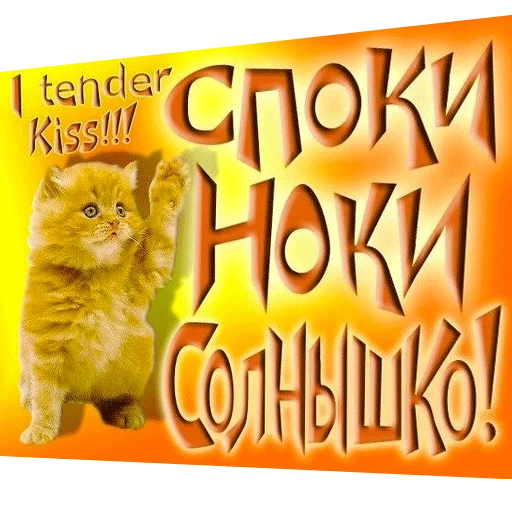 ВсратыеОдноклассники 4