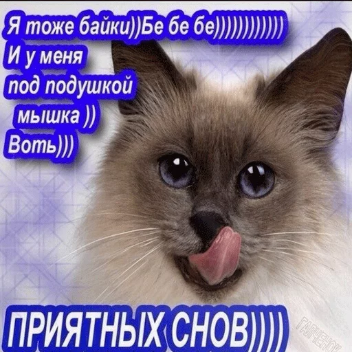 ВсратыеОдноклассники 6