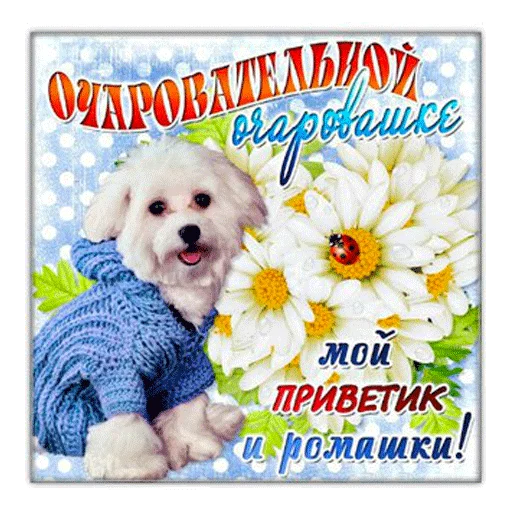 Стикер 11