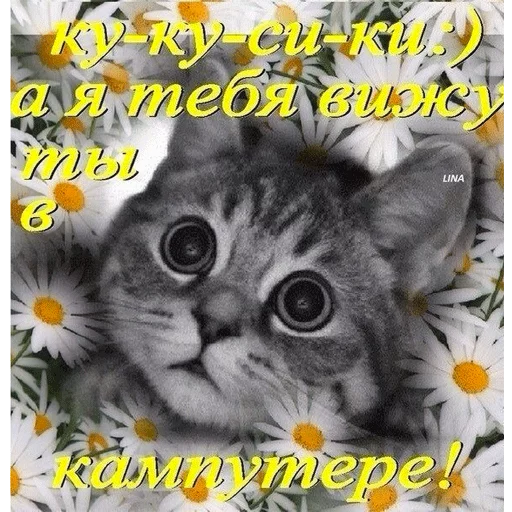 Стикер 12