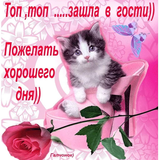 Стикер 14
