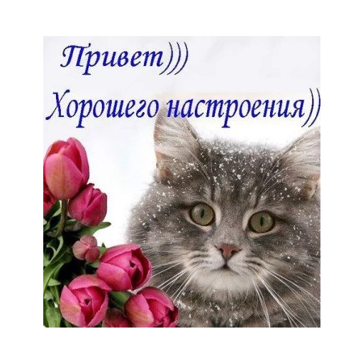 Стикер 16