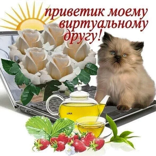 Стикер 18