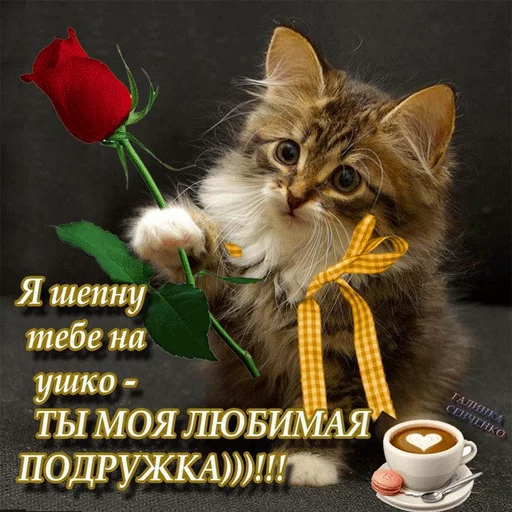 Стикер 20