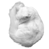 𝒲𝘩𝘪𝘵𝘦 🦢 2
