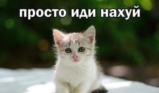 аааа 3