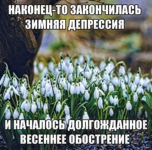 Стикер 15