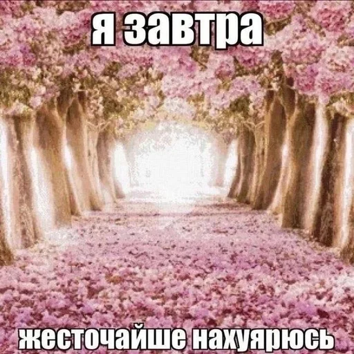 Стикер 16