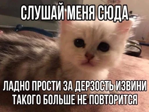 Стикер 21