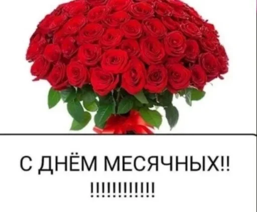 wwww 2