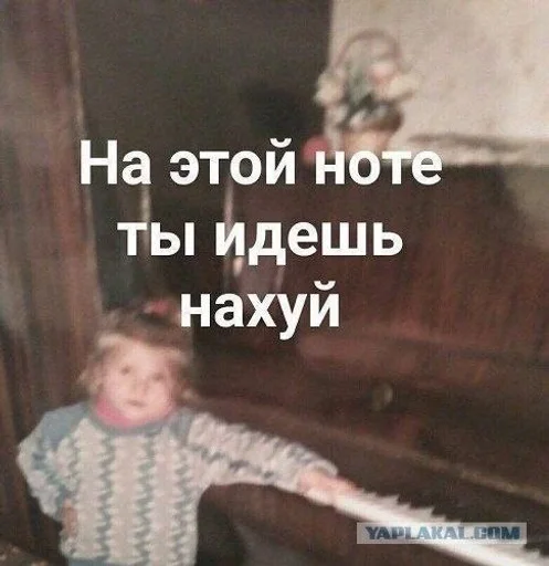 wwww 6