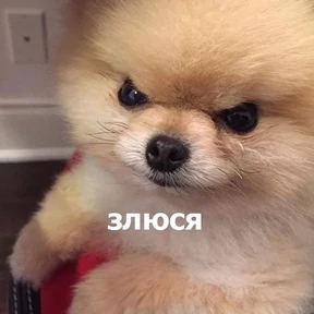 Стикер 7