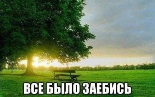 Стикер 11