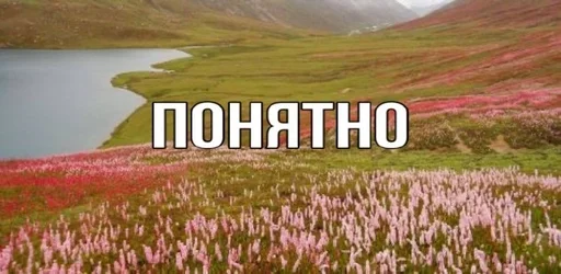 Стикер 20