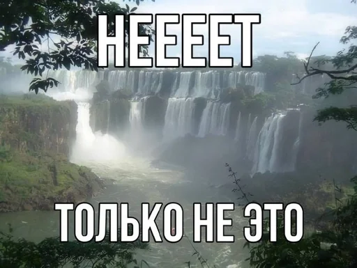 Стикер 21
