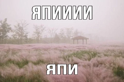 Стикер 22