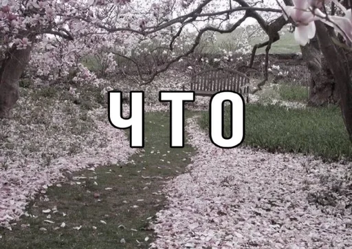 Стикер 23