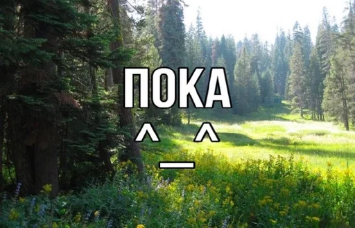 Стикер 24